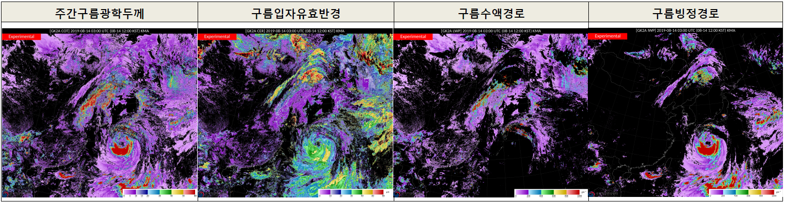 주간구름광학특성산출물_구름광학두께_구름입자유효반경_수적광학경로_빙정광학경로_.png