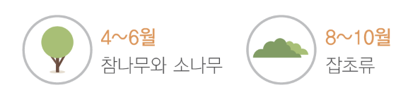 꽃가루.png