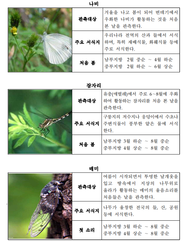 동물계절관측_지정_동물도감_곤충.png