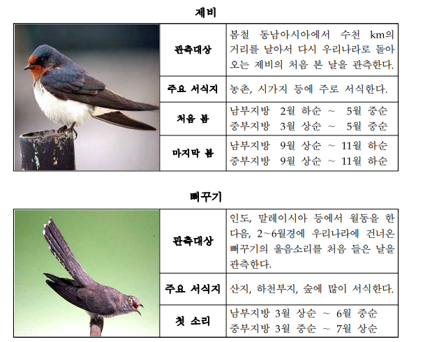 동물계절관측_지정_동물도감_조류.png