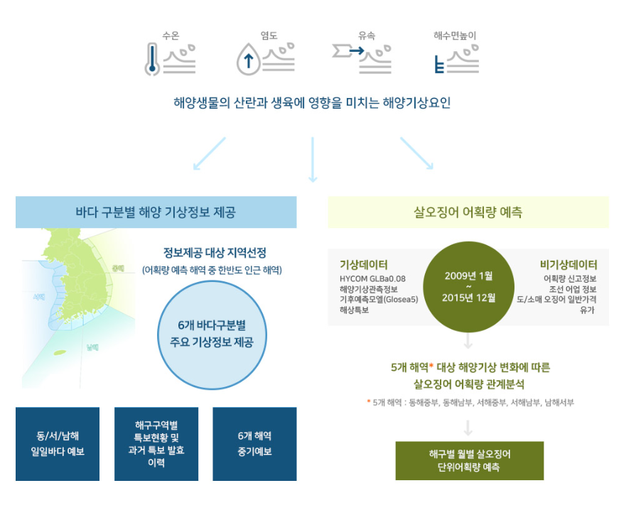 살오징어_개요.png