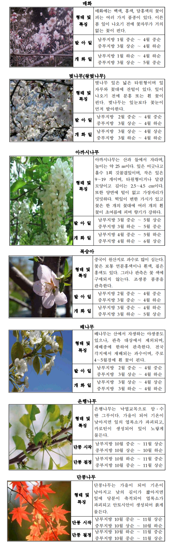 식물계절관측_지정_식물도감_교목.png