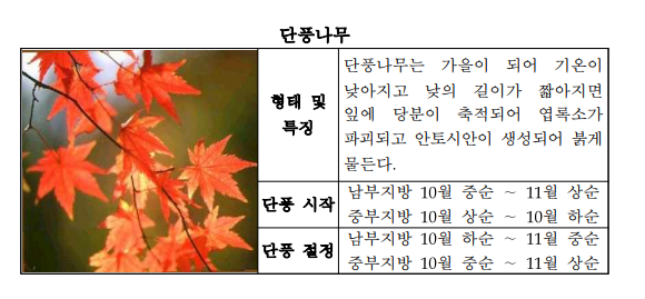 식물계절관측_지정_식물도감_4.png