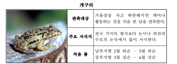 동물계절관측_지정_동물도감_양서류.png