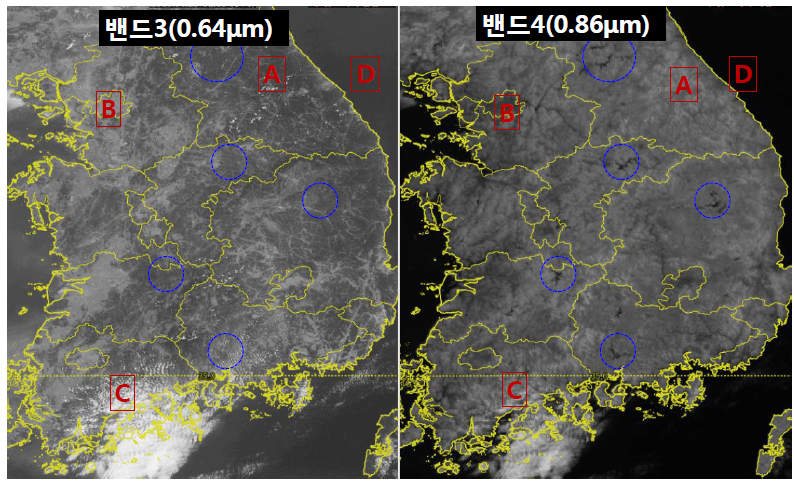 가시채널_식생.png