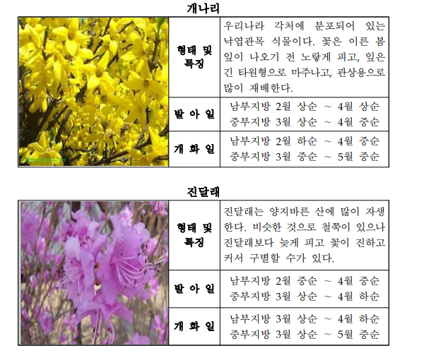 식물계절관측_지정_식물도감_관목.png