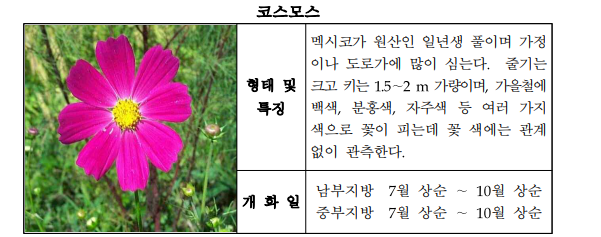 식물계절관측_지정_식물도감_초본.png